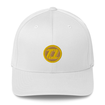 Structured Coin Hat